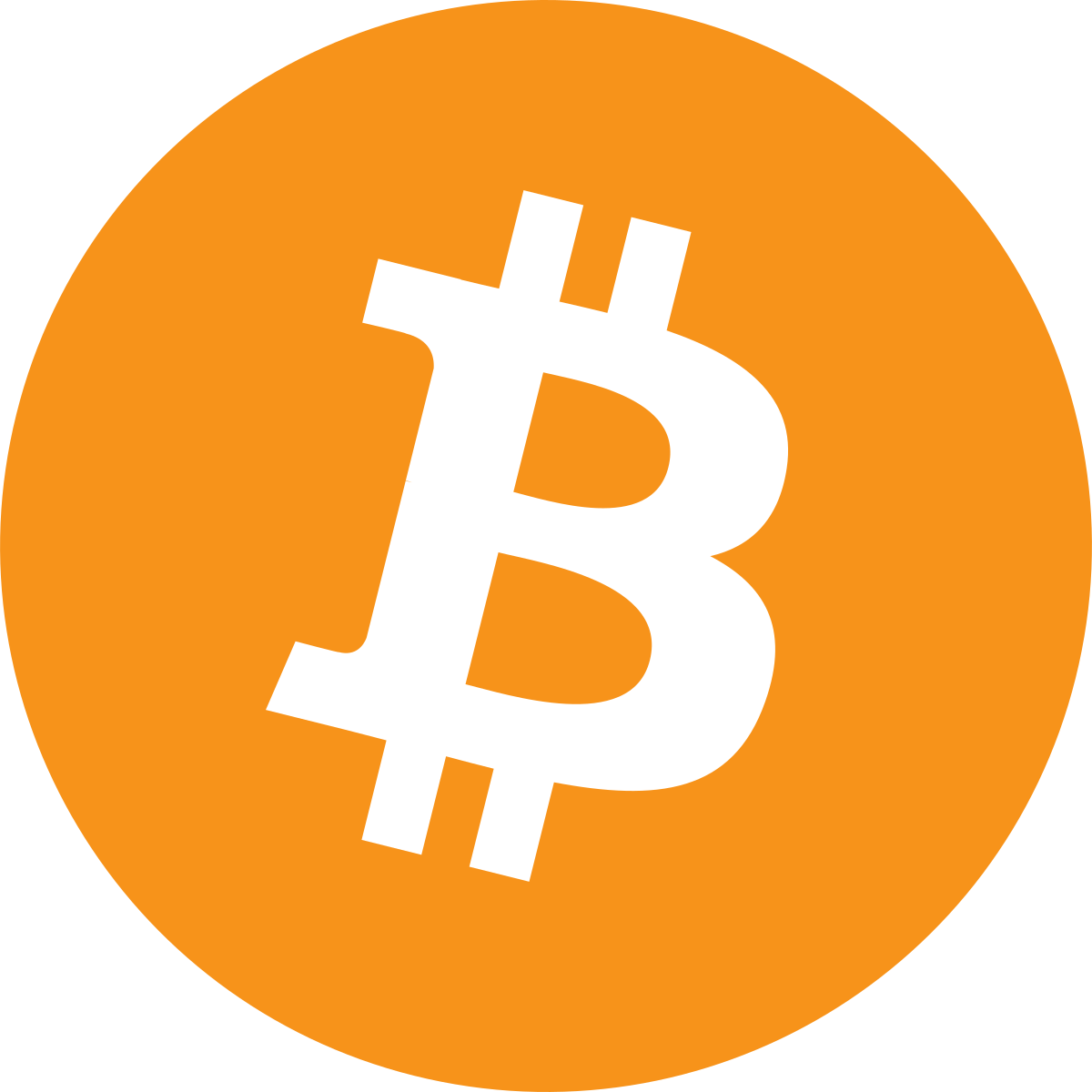bitcoin big logo